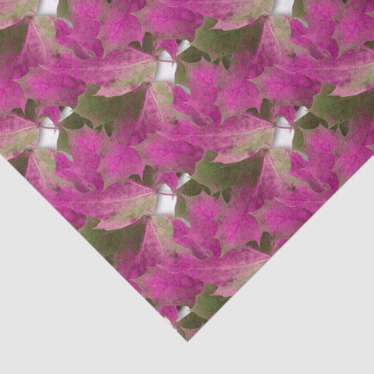 Roze Autumn Leaves Tissuepapier (Detail)