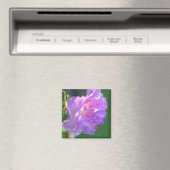 Roze Azalea bloem foto magneet (Insitu (Vaatwasser))