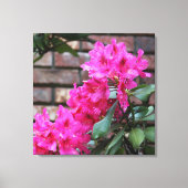 Roze Azalea Bloemen Canvas (Voorkant)