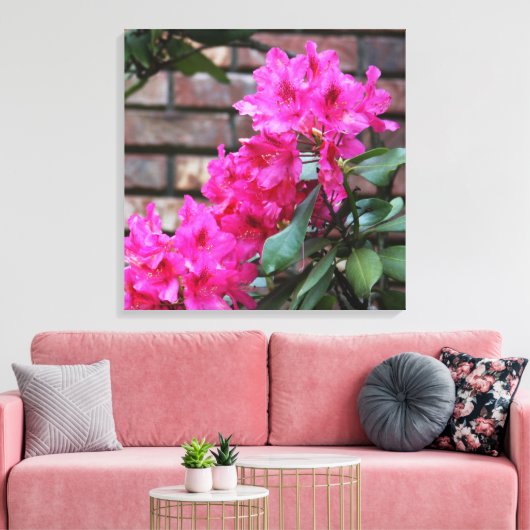 Roze Azalea Bloemen Canvas Afdruk (Insitu (Woonkamer))