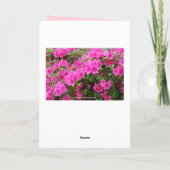 Roze Azalea Dank u voor uw hulp Bedankkaart (Achterkant)