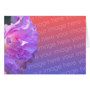 Roze Azalea Flower Photo Card