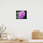 Roze Azalea Flower Poster (Keuken)