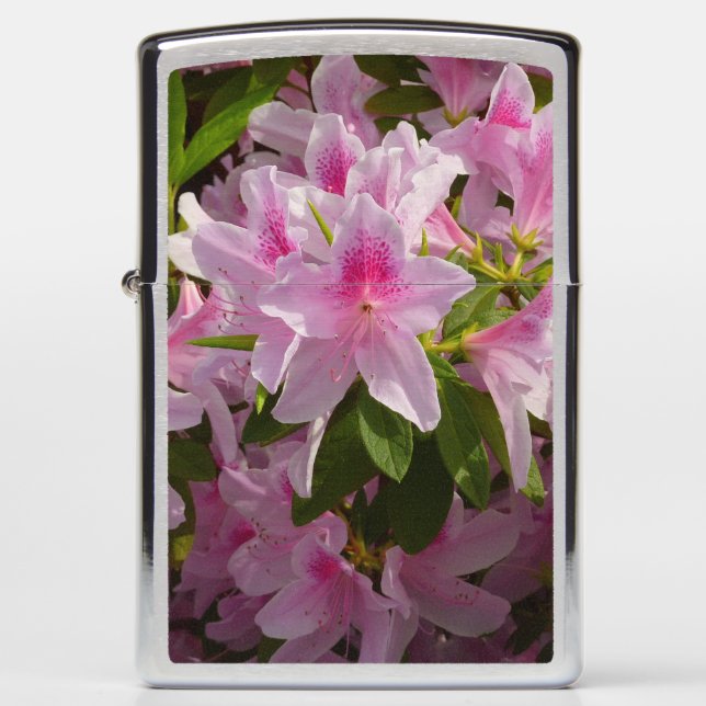 Roze Azalea Struik Spring Floral (Voorkant)