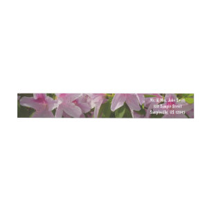 Roze Azalea Struik Spring Floral