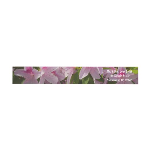Roze Azalea Struik Spring Floral (Individueel)