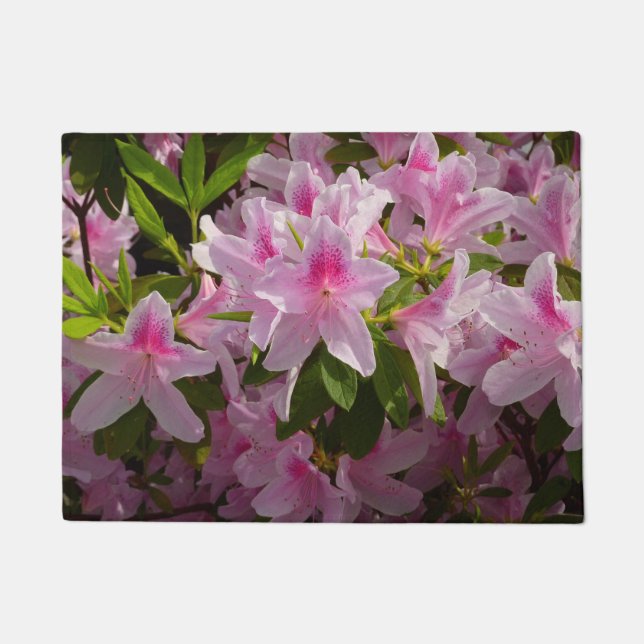 Roze Azalea Struik Spring Floral Deurmat (Voorkant)