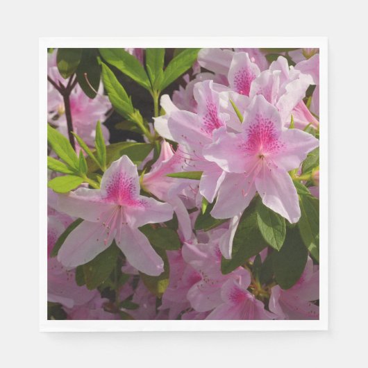 Roze Azalea Struik Spring Floral Servet (Voorkant)
