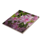 Roze Azalea Struik Spring Floral Tegeltje (Zijkant)