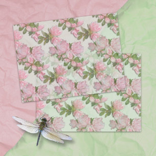 Roze Azaleas Floral Pattern Weefpapier Tissuepapier