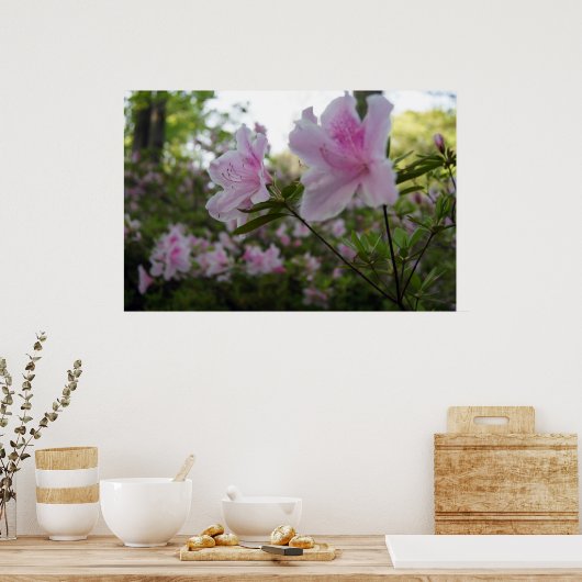 Roze Azaleas in Springtime Poster (Keuken)
