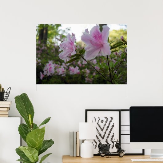 Roze Azaleas in Springtime Poster (Thuiskantoor)