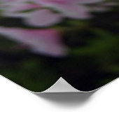 Roze Azaleas in Springtime Poster (Hoek)