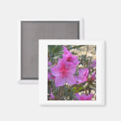 Roze Azaleas Magnet Magneet (Voorkant / Achterkant)