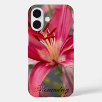Roze Aziatische Lelie – Elegante Bloemenfotografie