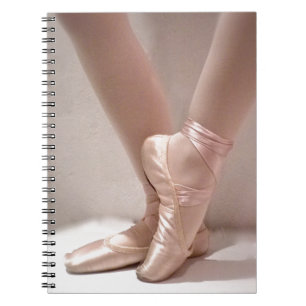 Roze baletslippers notitieboek