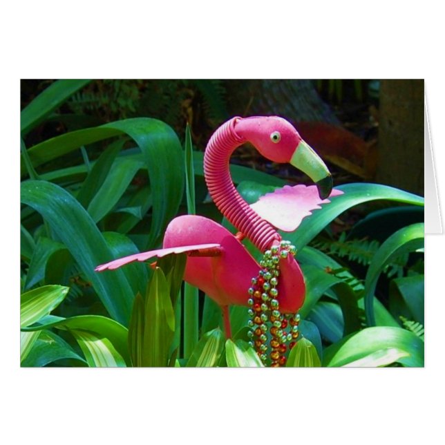 Roze band (Voorkant Horizontaal)