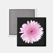 Roze barst magneet (Voorkant / Achterkant)