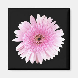 Roze barst magneet