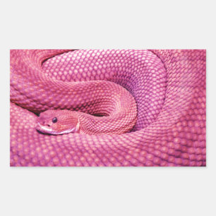 Roze Basilisk Rattlesnake Rechthoekige Sticker