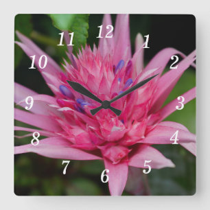 Roze Beauty Wandklok Vierkante Klok