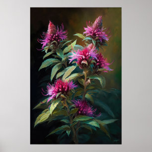 Roze Bee Balm Bloem Art Print Poster