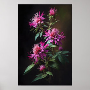Roze Bee Balm Bloem Art Print Poster