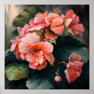 Roze Begonias Bloemenkunst Print Poster