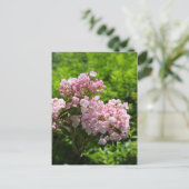  roze bergLaurel Flowers Briefkaart (Staand voorkant)