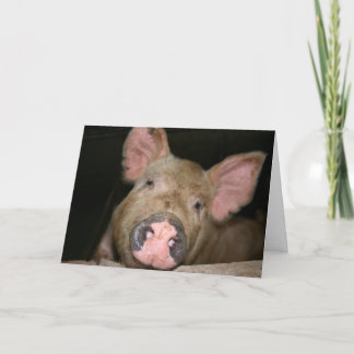 Roze Biggetje Kaart