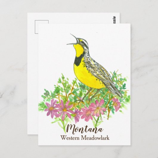 Roze Bitterroot Western Meadowlark Montana Briefkaart (Voorkant / Achterkant)