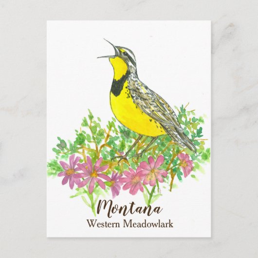 Roze Bitterroot Western Meadowlark Montana Briefkaart (Voorkant)
