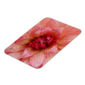 roze bladen magneet (Linkerzijde)