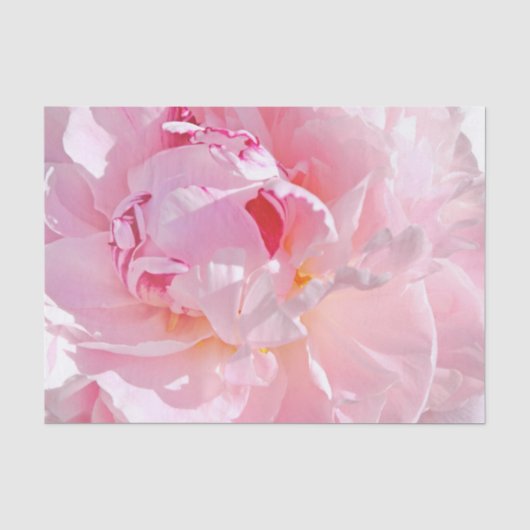 roze bladen tissuepapier (Voorkant)