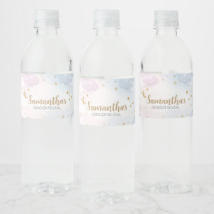 Roze Blau Twinkelende Kleine Ster Geslacht Reveal Waterfles Etiket