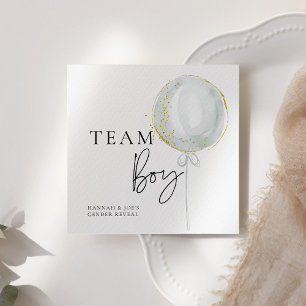 Roze & Blauwe Ballon Geslacht onthullen Team Boy Servet