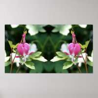 Roze Bloedende Hart Bloem Spiegel Abstract