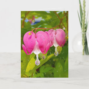 Roze bloedende harten met regendruppels kaart