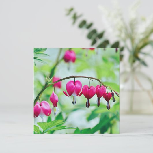 Roze bloeding (Staand voorkant)