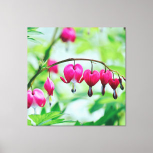 Roze bloeding Hartbloeding Bloem Elegant Canvas Afdruk