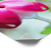 Roze bloedingen Bloedvataanklep  Poster (Hoek)