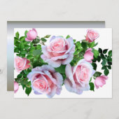 Roze bloeiend Roos (Voorkant / Achterkant)