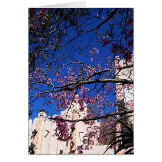 Roze bloeiende boomkaart