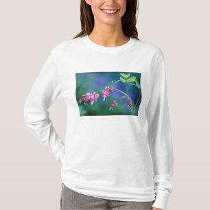 Roze bloeiende hartjes in de tuin. Credit aan: T-shirt