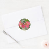 Roze bloeiende kweepgloed ronde sticker (Envelop)