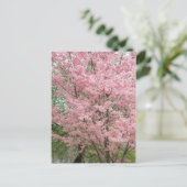 Roze bloeiende oghout briefkaart (Staand voorkant)