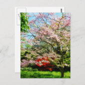 Roze bloeiende oghout briefkaart (Voorkant / Achterkant)