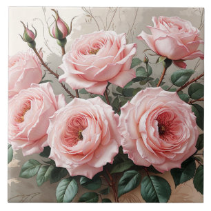 Roze bloeiende Rozen Tegeltje