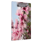 Roze bloeiende vertakking Klembord (Rechts)