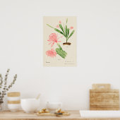 Roze Bloem Cactus Botanische Kunst Poster (Keuken)